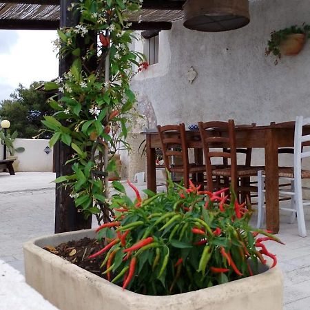 casa vacanze Alessandro Castellammare del Golfo Esterno foto