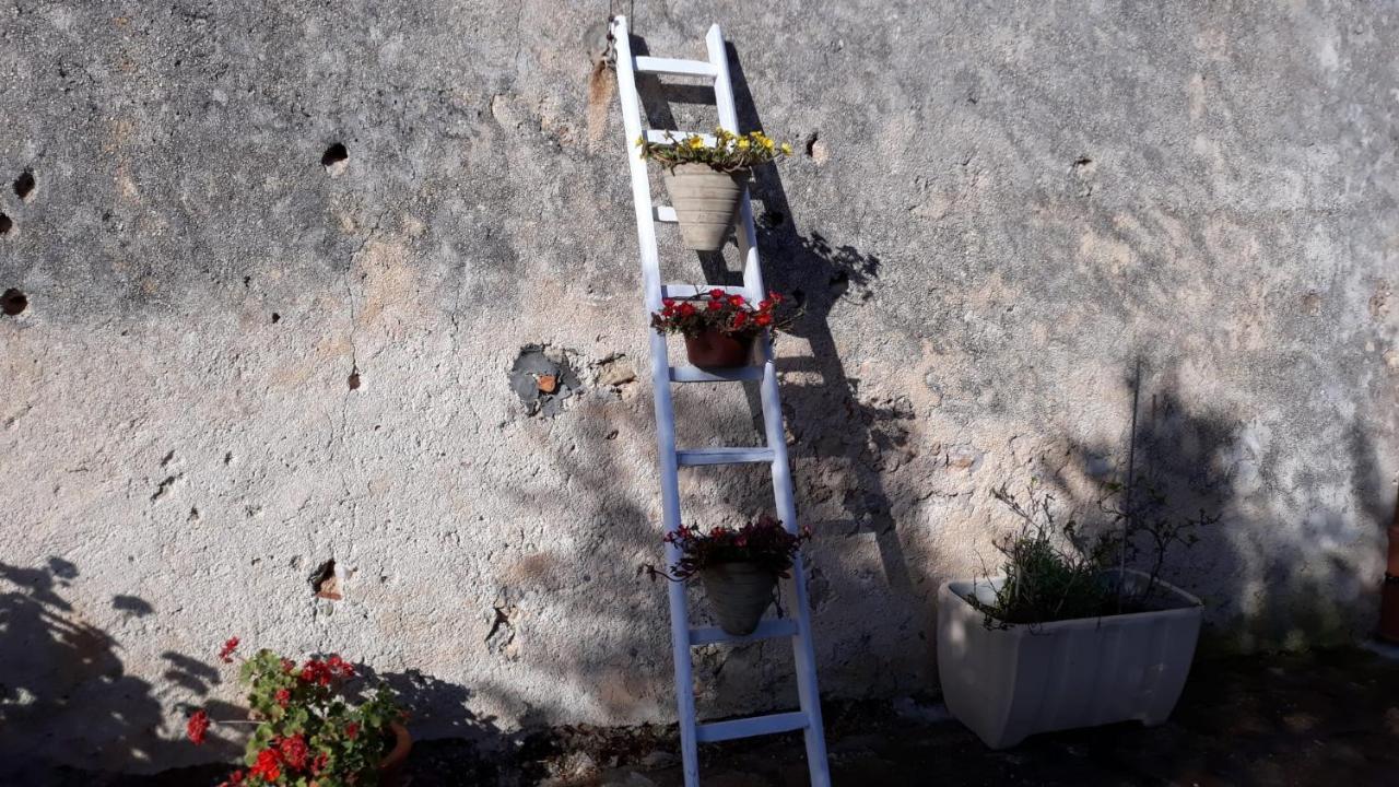 casa vacanze Alessandro Castellammare del Golfo Esterno foto
